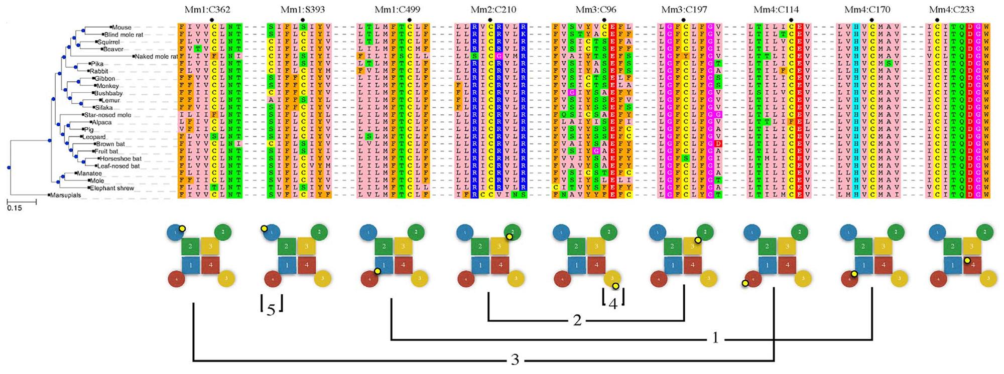 Fig. 2.