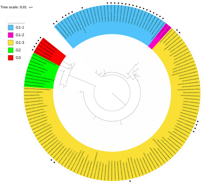 Figure 5