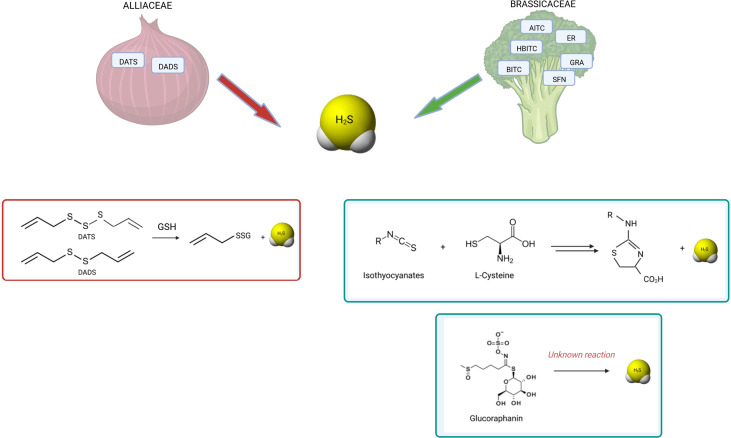 Figure 3