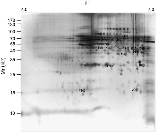 Figure 2.