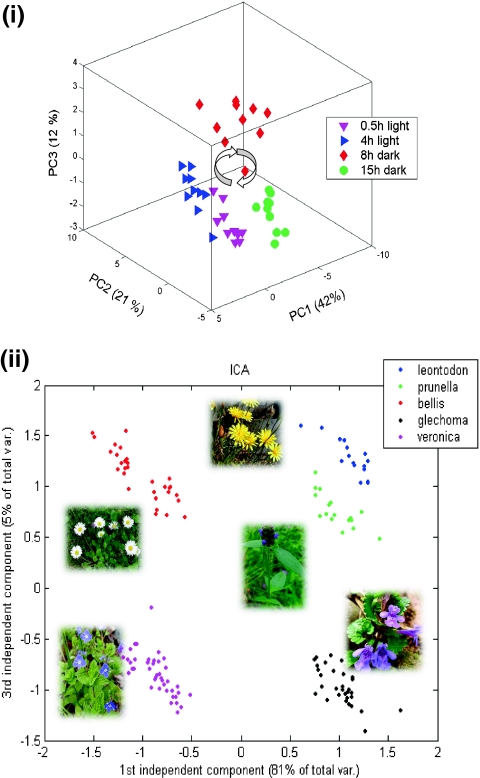 Fig. 3