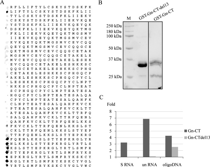 Fig. 7