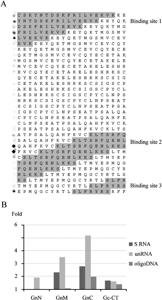 Fig. 5