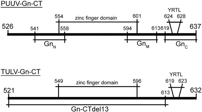 Fig. 6