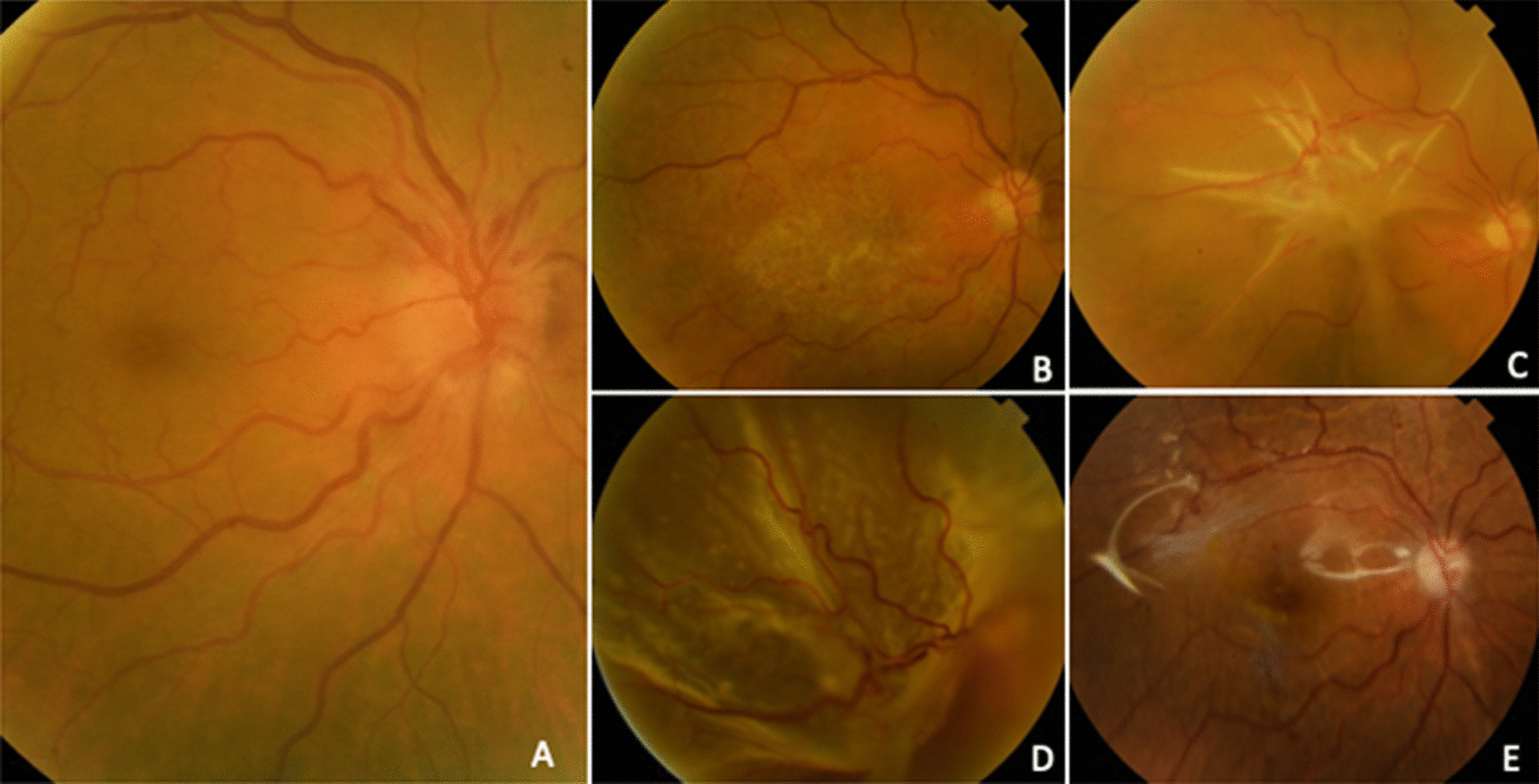 Fig. 3