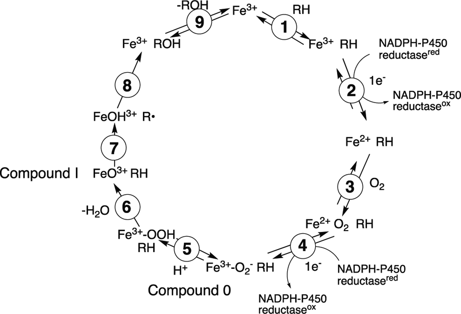 Scheme 1.