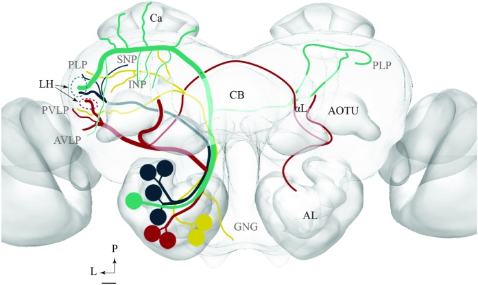 FIGURE 11