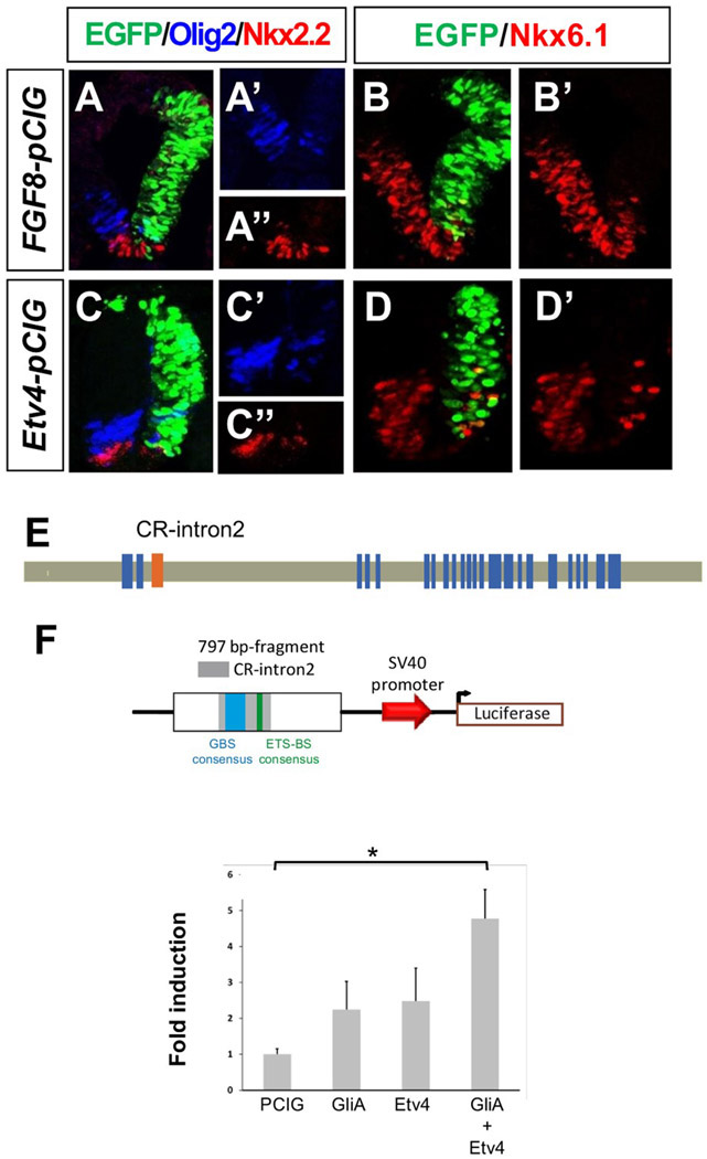 Figure 5