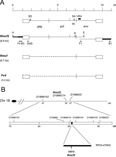 FIG. 1.