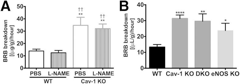 Figure 5