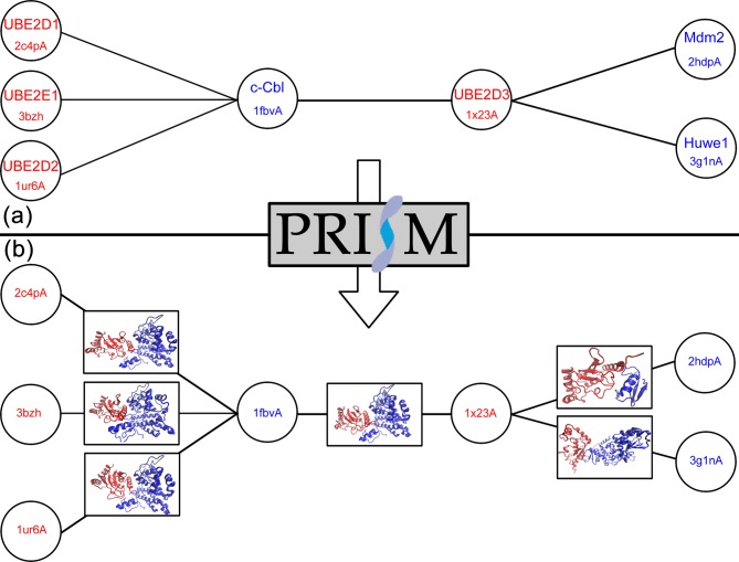 Figure 2.