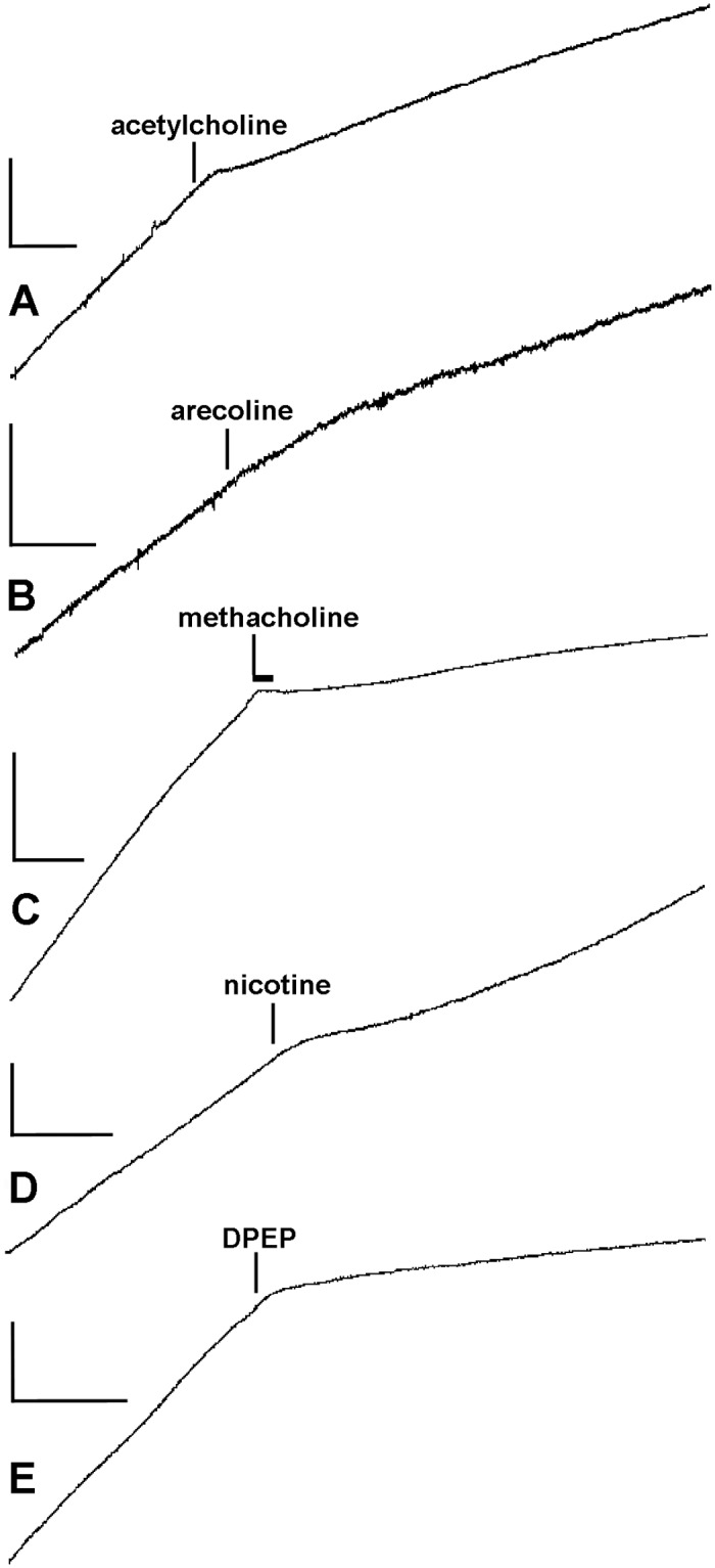 Fig 5