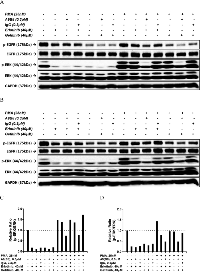 Figure 5