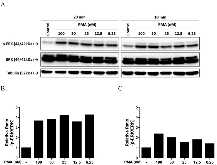 Figure 4