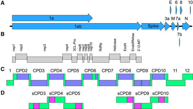 Figure 1