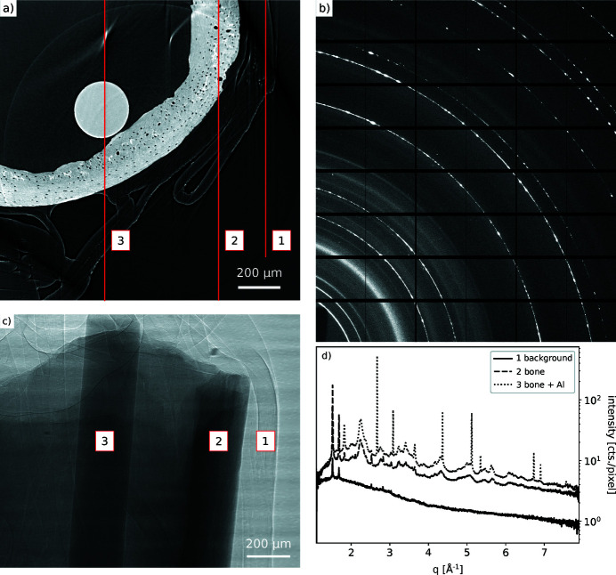 Figure 12