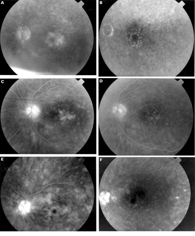 Figure 3  