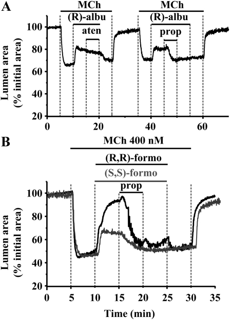 Figure 9.