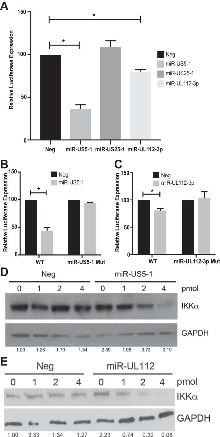 FIG 2 