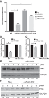 FIG 2