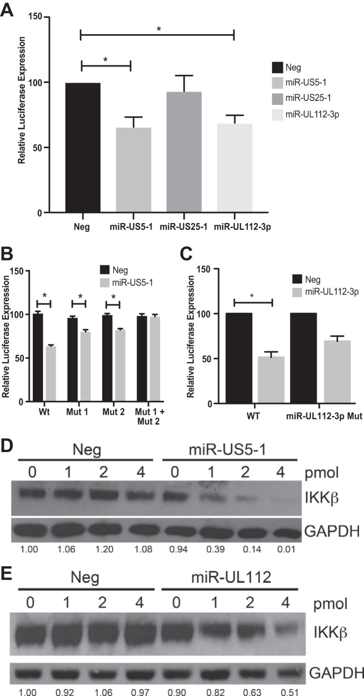 FIG 3 