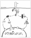 FIG. 1.
