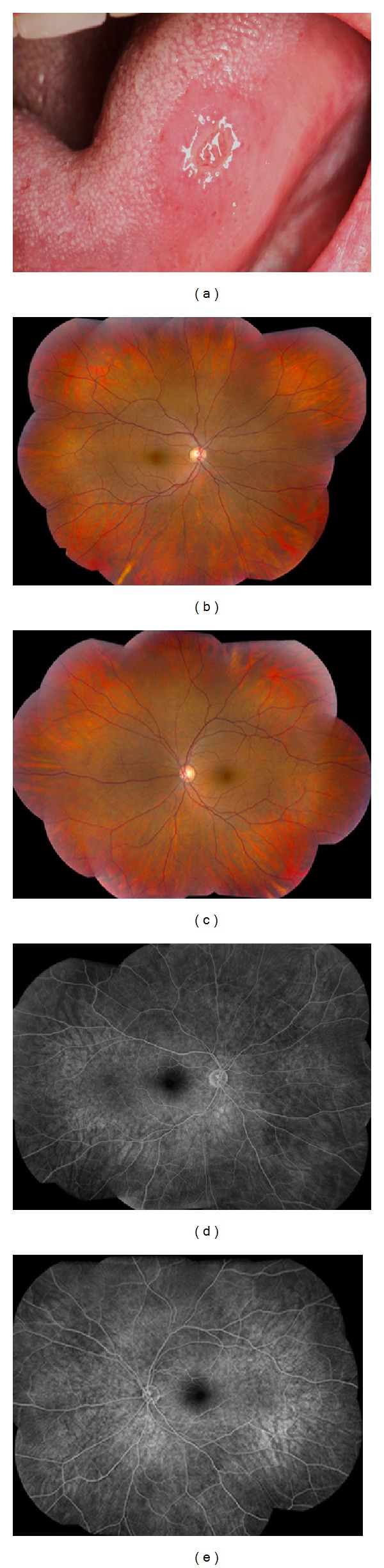 Figure 1