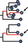 Author response image 1.