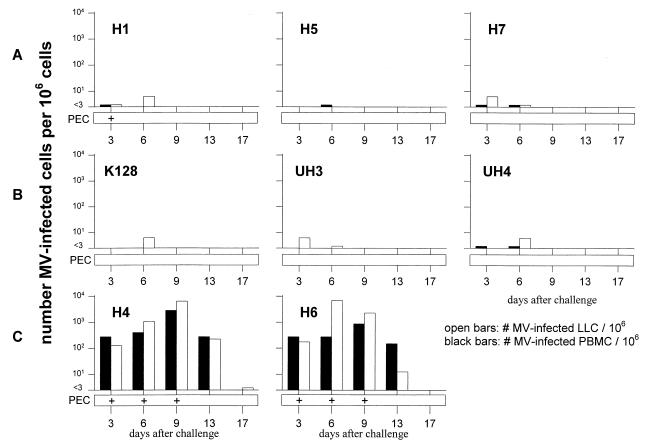 FIG. 7