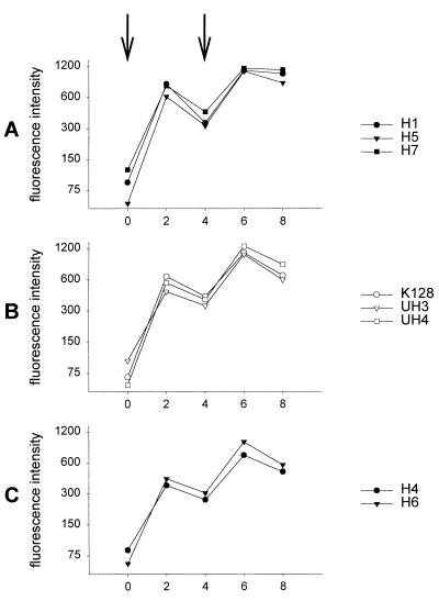 FIG. 4