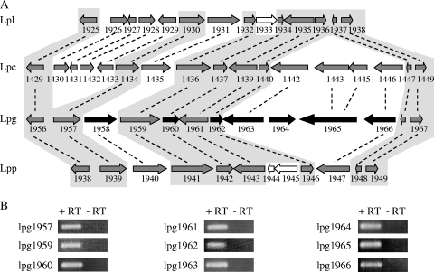 FIG. 5.