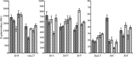 FIG. 7.