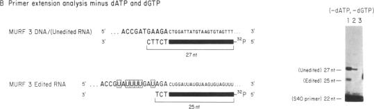 graphic file with name pnas00283-0220-d.jpg