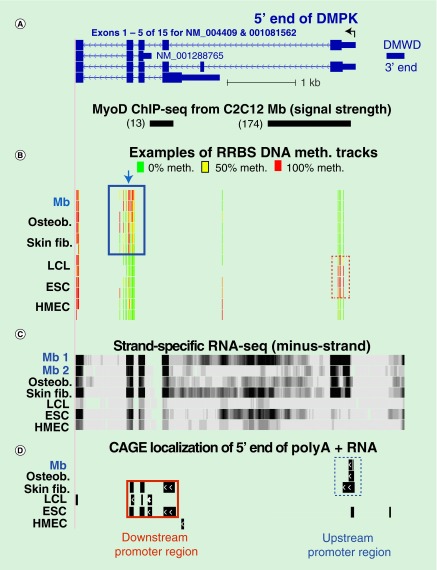 Figure 5. 