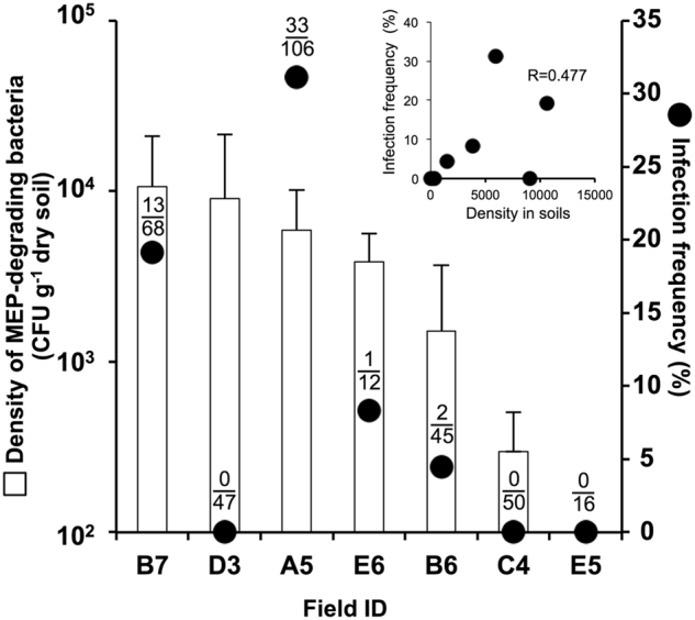 Fig. 6