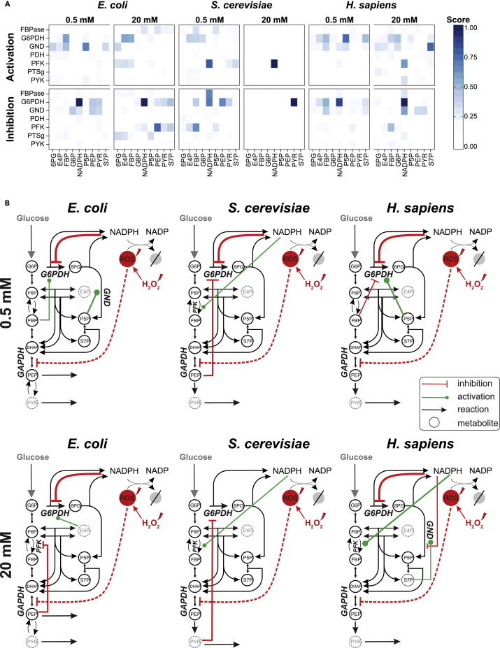 Figure 5