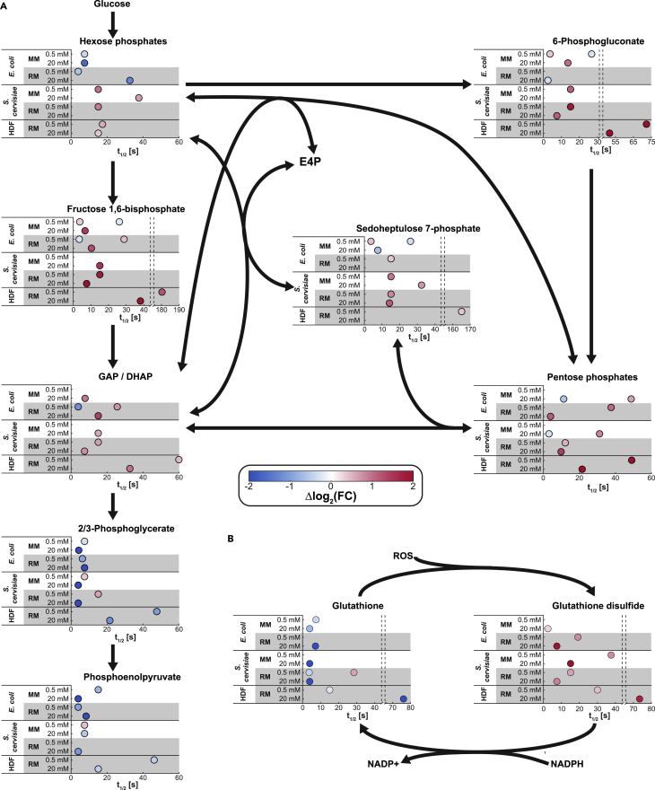 Figure 4