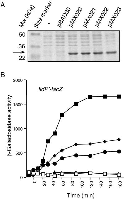 FIG. 2.