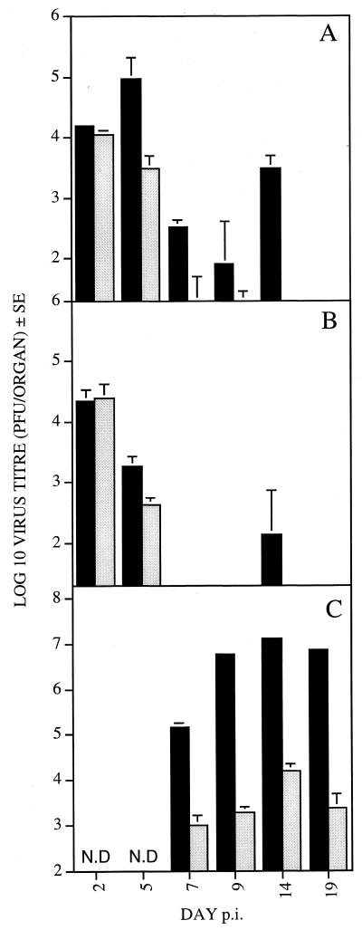 FIG. 6