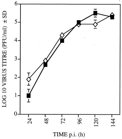 FIG. 5