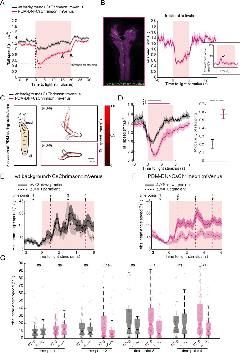 Figure 3—figure supplement 3.