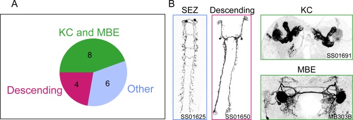 Figure 1—figure supplement 2.