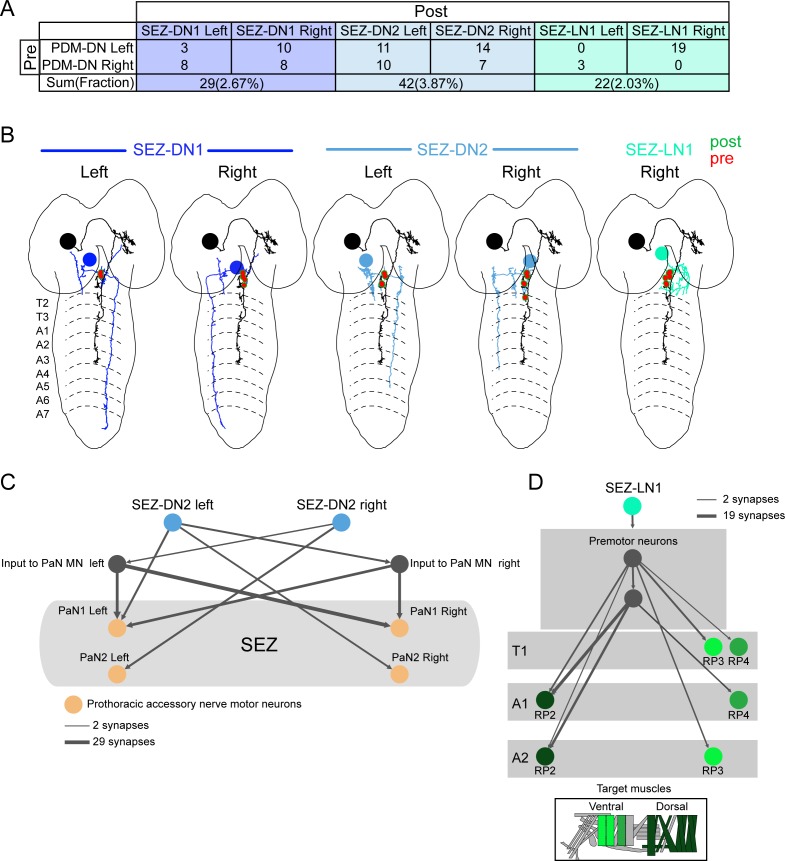 Figure 5—figure supplement 2.