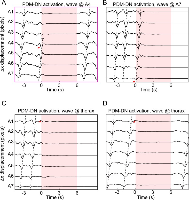 Figure 4—figure supplement 1.