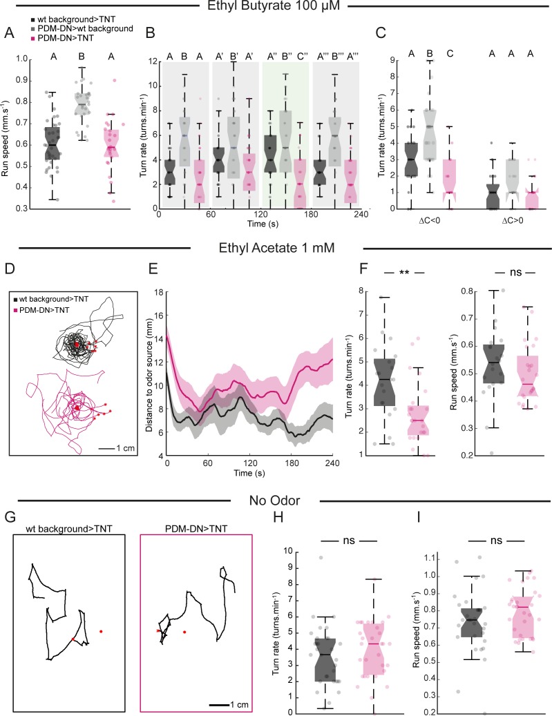 Figure 3—figure supplement 1.