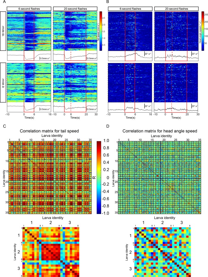 Figure 3—figure supplement 4.