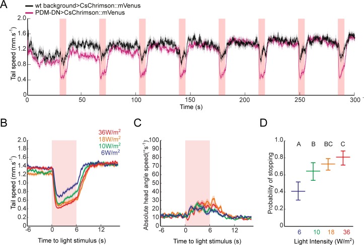 Figure 3—figure supplement 2.