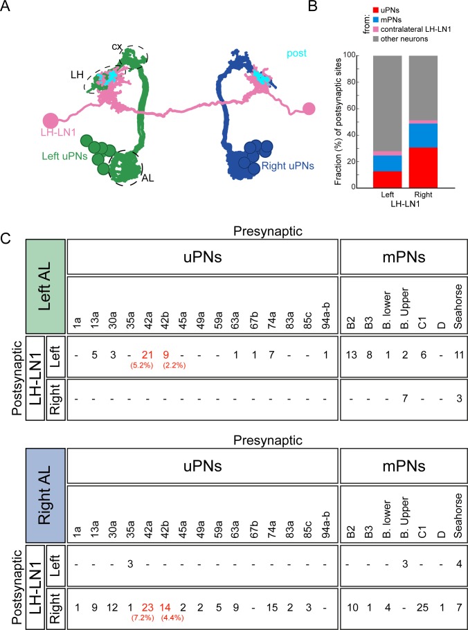 Figure 2—figure supplement 2.