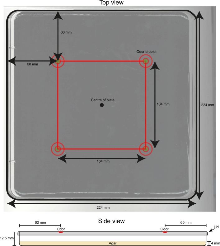 Figure 1—figure supplement 1.