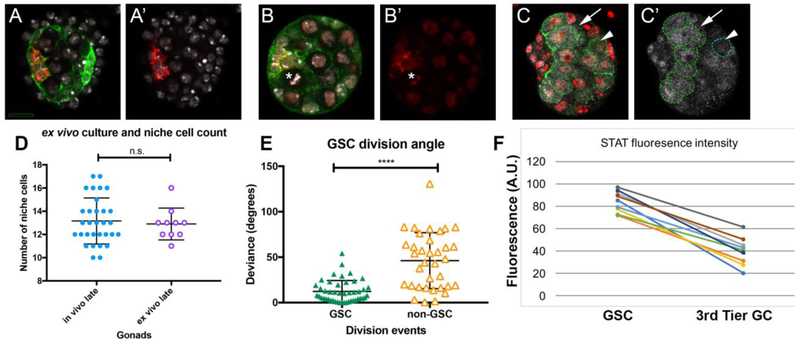 Figure 5: